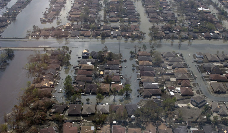 Phoenix Post Disaster Survey