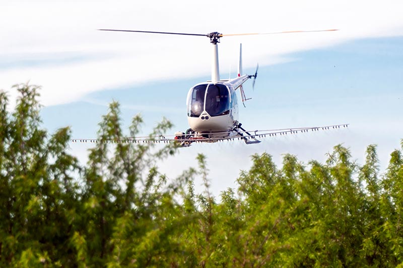 Arizona Frost Control by Helicopter